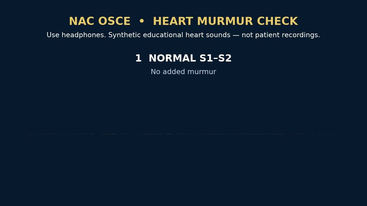 Heart murmur check video preview